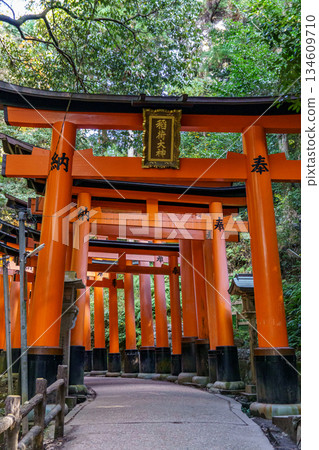 Kyoto in Japan Kyoto in Japan 134609710