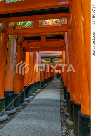 Kyoto in Japan Kyoto in Japan 134609717