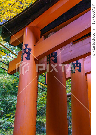 Kyoto in Japan 134609737