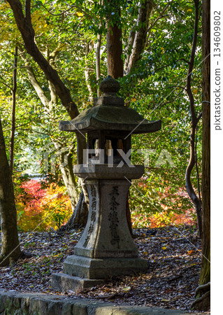 Kyoto in Japan 134609802