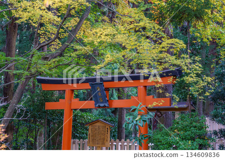 Kyoto in Japan Kyoto in Japan 134609836