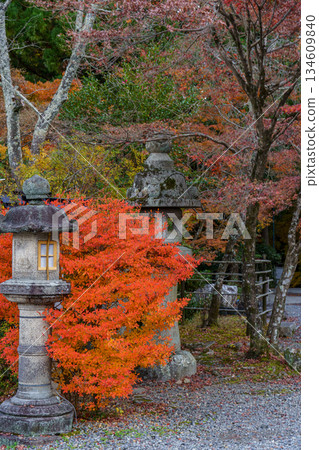 Kyoto in Japan Kyoto in Japan 134609840