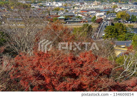 Kyoto in Japan Kyoto in Japan 134609854