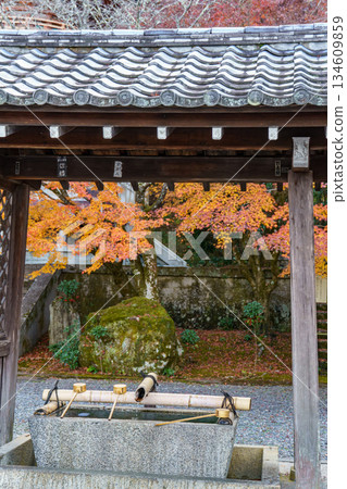 Kyoto in Japan Kyoto in Japan 134609859