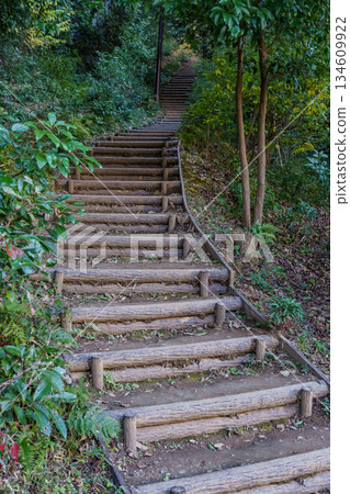 Kyoto in Japan 134609922