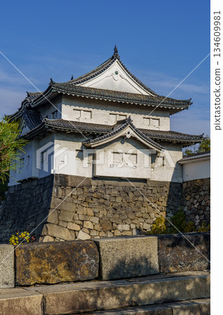 Osaka city in Japan Osaka city in Japan 134609981