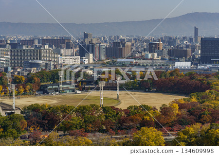 Osaka city in Japan Osaka city in Japan 134609998