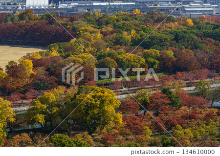 Osaka city in Japan Osaka city in Japan 134610000