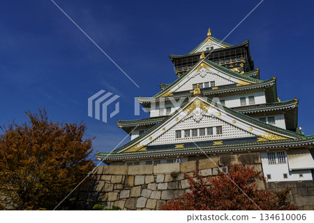 Osaka city in Japan Osaka city in Japan 134610006