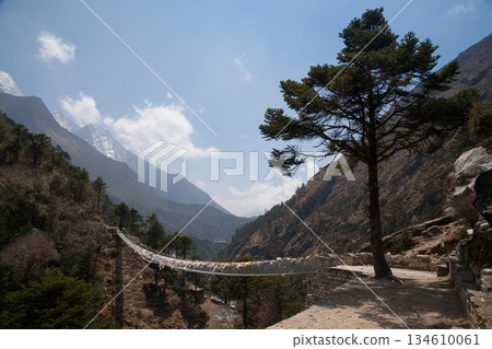 Imja river suspension bridge view along EBC trek, Nepal 134610061