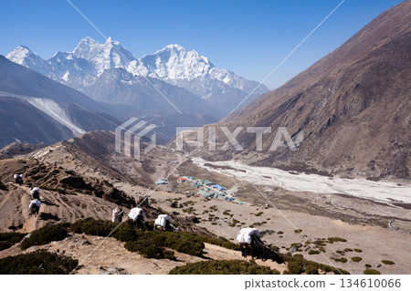Everest base camp trekking path in Dingboche area, Nepal 134610066