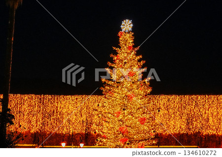 Christmas Tree in Budva with Festive Garland Lights on Citadel Wall 134610272