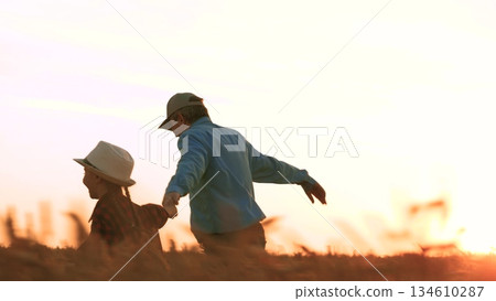 agriculture, wheat field, golden wheat farm field sunset,happy family. father with happy daughter running through wheat field sunset. child girl kid running through summer field dad farmer. sun sunset 134610287