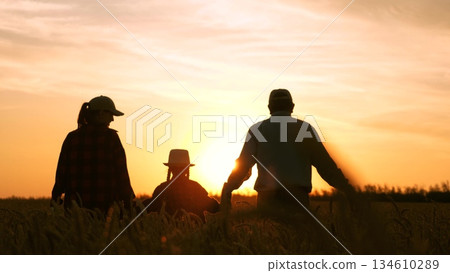 happy family running wheat field. family farm. father mother child kid girl running wheat field sunset. happy family life concept. woman man husband wife child daughter running farm. agriculture 134610289