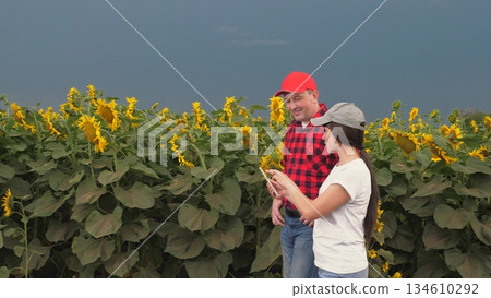 Agriculture, teamwork, business partner farmer agriculture, handshake sign deal, harvest, fresh soil grow crops, two farmers talking about sunflower harvest field, group people, farmer working hand Agriculture, teamwork, business partner farmer agriculture, handshake sign deal, harvest, fresh soil grow crops, two farmers talking about sunflower harvest field, group people, farmer working hand 134610292