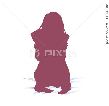 Woman hugging a cushion with an uneasy feeling on the bed, silhouette Woman hugging a cushion with an uneasy feeling on the bed, silhouette 134610384