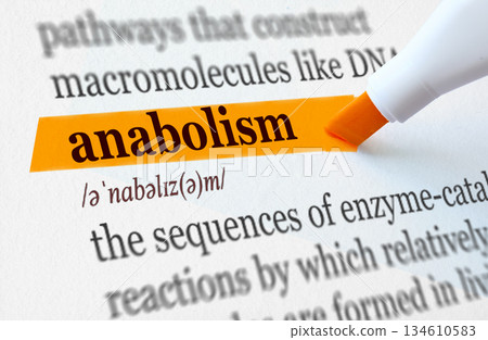 the definition of the word anabolism highlighted in orange the definition of the word anabolism highlighted in orange 134610583