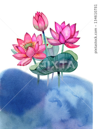 Watercolor lotus floating calmly on blue water, reflected in gentle ripples. Soft pink petals, peaceful mood and meditative energy. Ideal for wellness design, spa branding, cards, posters and calming Watercolor lotus floating calmly on blue water, reflected in gentle ripples. Soft pink petals, peaceful mood and meditative energy. Ideal for wellness design, spa branding, cards, posters and calming 134610781
