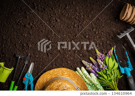 Garden tools and plants 134610964