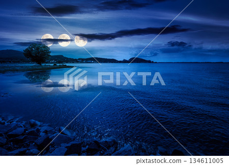 tree on the shore of a lake in summer at night. calm scenery with large body of water in full moon light. mountain range in the distance. inner strength to overcome fear, loneliness in darkness tree on the shore of a lake in summer at night. calm scenery with large body of water in full moon light. mountain range in the distance. inner strength to overcome fear, loneliness in darkness 134611005