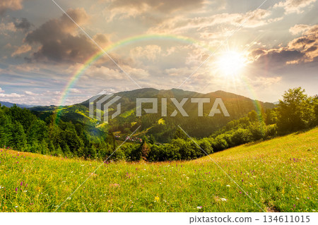 beautiful mountain landscape in summer at sunset. grassy meadow on rolling hills in evening light. ridge in the distance. sunny weather clouds on sky. leadership corporate wallpaper under the rainbow beautiful mountain landscape in summer at sunset. grassy meadow on rolling hills in evening light. ridge in the distance. sunny weather clouds on sky. leadership corporate wallpaper under the rainbow 134611015