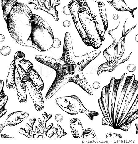 Hand drawn seamless pattern of underwater marine life. Line art graphic illustration ideal for summer background or textile design. Outline graphic illustration 134611348