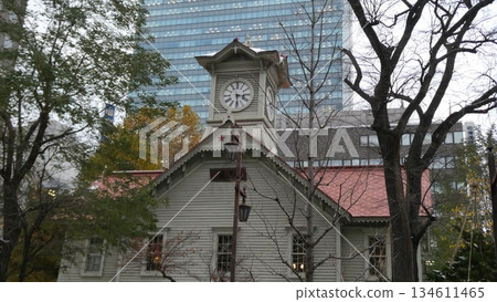 透過樹木可以看到鐘樓和摩天大樓。 透過樹木可以看到鐘樓和摩天大樓。 134611465