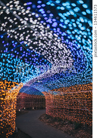 宮城縣柴田町璀璨的燈光 134611573