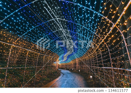 Sparkling illuminations in Shibata Town, Miyagi Prefecture 134611577
