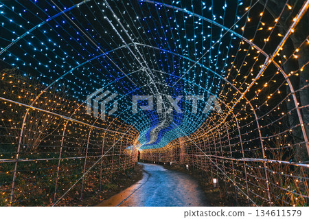 Sparkling illuminations in Shibata Town, Miyagi Prefecture 134611579