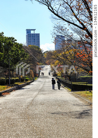 People walking on the walkway lane path with beautiful leaves trees in autumn. People walking on the walkway lane path with beautiful leaves trees in autumn. 134612165