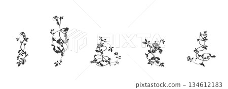 Oak elements for creating seamless patterns vector Oak elements for creating seamless patterns vector 134612183