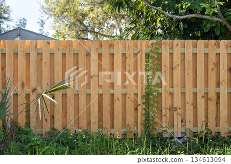Wooden fence for back yard protection and privacy. Timber plank fencing in Florida Wooden fence for back yard protection and privacy. Timber plank fencing in Florida 134613094