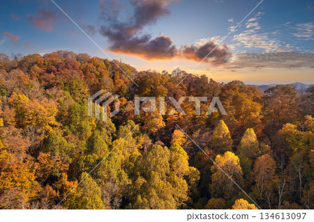 Wooded Appalachian mountains in North Carolina at sunset with yellow forest trees at fall season. Beauty of autumnal nature Wooded Appalachian mountains in North Carolina at sunset with yellow forest trees at fall season. Beauty of autumnal nature 134613097