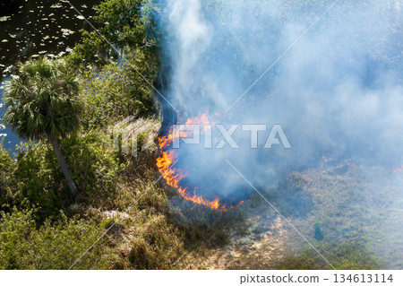 Wild vegetation fire spreads across forested landscape in Florida, filling air with thick smoke and intense heat during dry season Wild vegetation fire spreads across forested landscape in Florida, filling air with thick smoke and intense heat during dry season 134613114