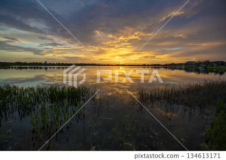Tropical lake vegetation in southern swamp at sunset. Evening landscape of Florida wetland flora Tropical lake vegetation in southern swamp at sunset. Evening landscape of Florida wetland flora 134613171