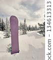 Purple snowboard in snow near frosted forest under cloudy sky 134613313