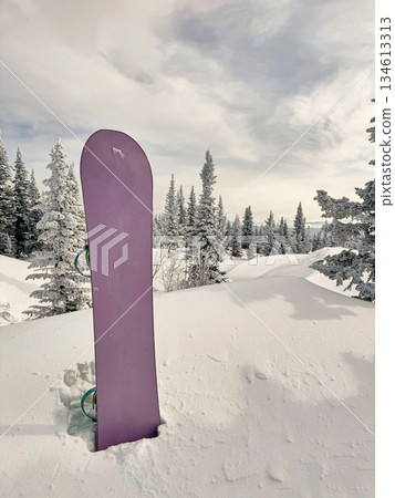 Purple snowboard in snow near frosted forest under cloudy sky Purple snowboard in snow near frosted forest under cloudy sky 134613313