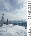Snowy mountain ridge with pine trees and distant horizon 134613314