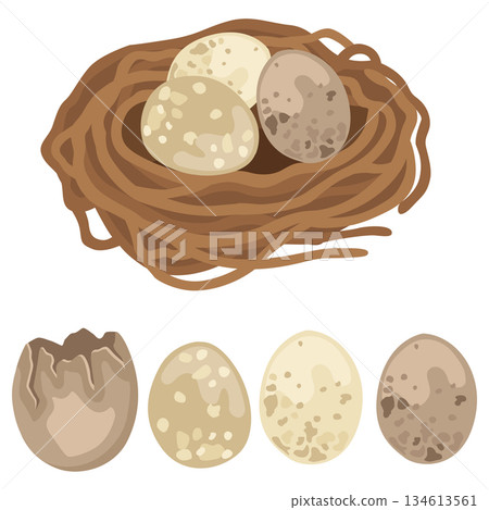 Hand-drawn spring Easter illustrations of a bird nest with eggs, separate eggs and cracked eggshell Hand-drawn spring Easter illustrations of a bird nest with eggs, separate eggs and cracked eggshell 134613561