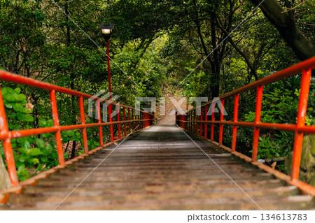 shikoku, JAPAN - may 2 2025 Iyadani Temple No. 71 Red Staircase in the Shikoku Pilgrimage shikoku, JAPAN - may 2 2025 Iyadani Temple No. 71 Red Staircase in the Shikoku Pilgrimage 134613783