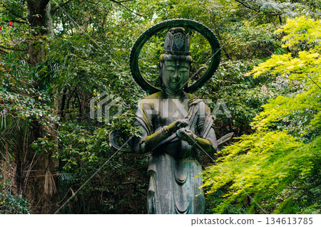 shikoku, JAPAN - may 2 2025 Iyadani Temple No. 71 Bodhisattva Statue shikoku, JAPAN - may 2 2025 Iyadani Temple No. 71 Bodhisattva Statue 134613785