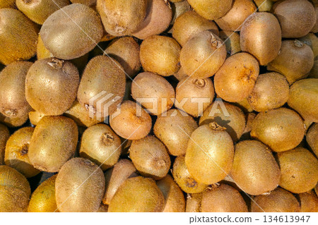 Fresh whole kiwifruit piled together showing fuzzy brown skin texture and natural organic produce Fresh whole kiwifruit piled together showing fuzzy brown skin texture and natural organic produce 134613947