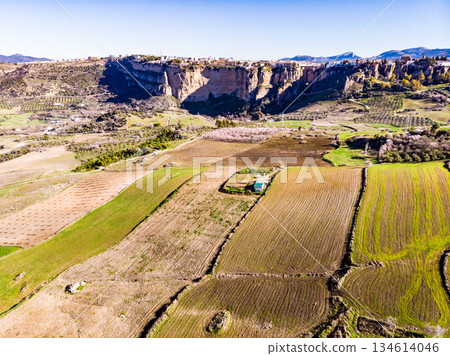 Green field in Ronda valley, Andalucia Spain 134614046