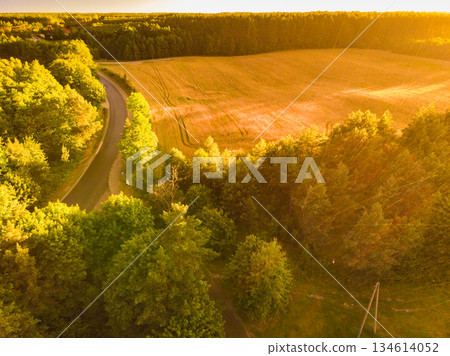 Rainy weather. Field and forest, aerial view 134614052