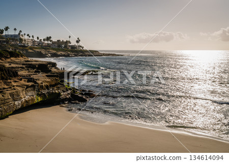 La Jolla coastline La Jolla coastline 134614094