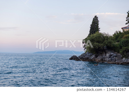 Beautiful view of the sea with waves and a cliff with trees after sunset. Holidays in Croatia by the sea. Relax day. Amazing sky at evening. Croatia, Opatija. Summer holidays Beautiful view of the sea with waves and a cliff with trees after sunset. Holidays in Croatia by the sea. Relax day. Amazing sky at evening. Croatia, Opatija. Summer holidays 134614267