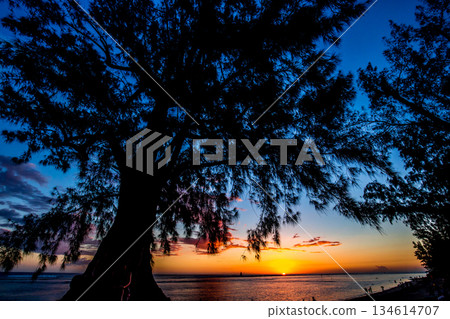 Saint Gilles beach, La Reunion island, france 134614707