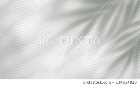 Summer palm leaf shadow with blurred tropical foliage silhouette on transparent background, perfect for poster layouts and spring banner templates with natural light effects Summer palm leaf shadow with blurred tropical foliage silhouette on transparent background, perfect for poster layouts and spring banner templates with natural light effects 134614820