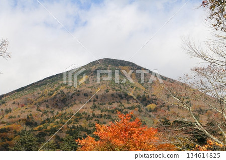 Mt. Nantai seen from the shore of Lake Chuzenji Mt. Nantai seen from the shore of Lake Chuzenji 134614825